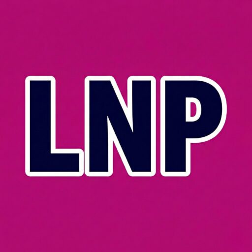 Late Night Playbook - Your Guide to Evening Entertainment